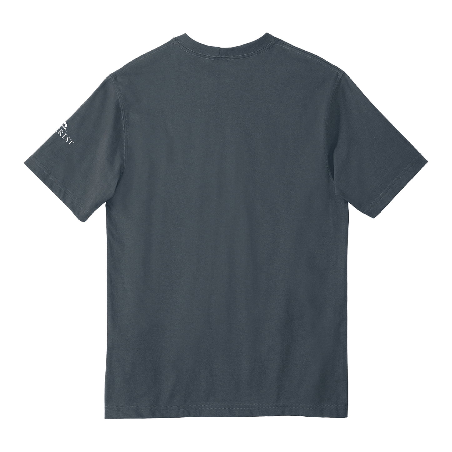 Carhartt T-shirt